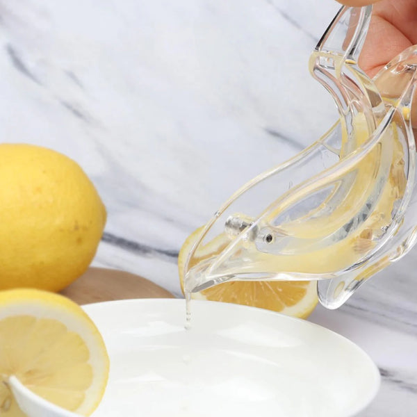 Acrylic Lemon Slice Juicer