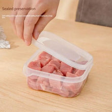 Refrigerator Frozen Meat Preservation Box, Freezer Storage Box