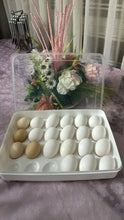 24 Egg Storage Container