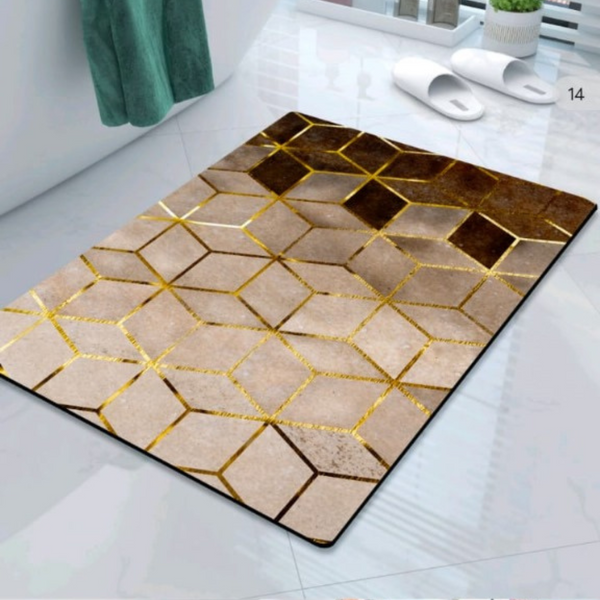 Absorptive Non-Slip Floor Mat (D13)