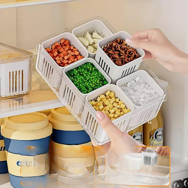 6 Grid Refrigerator Drain Storage Box