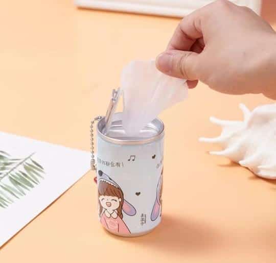 Mini Portable Wet Wipes Ca