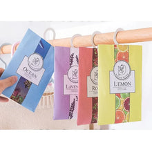 Pack Of 2 Air Freshening Hanging Fragrance Bag