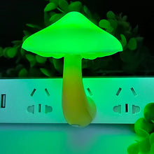 LED Sensor Mushroom Night Light Plug in Lamp